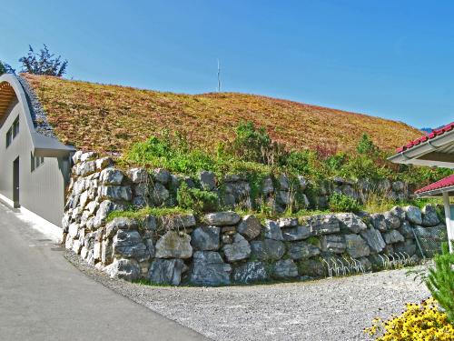 Pitched green roof